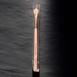 🦋 MOTD Lay Down Looks Shader Brush